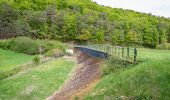 Tour Zu Fuß Warburg - Rundwanderweg 