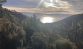 Excursión Senderismo Saint-Raphaël - Pic de l'ours, la Cadière, l'écureuil depuis Belle Barbe  - Photo 5