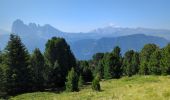 Randonnée Marche Urtijëi - St. Ulrich in Gröden - Ortisei - Raschötz Alm - Photo 1