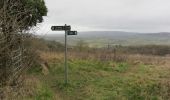 Tocht Te voet Wychavon - Wychavon Way (old) - Photo 3