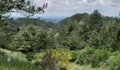 Trail Walking Bassurels - Observatoire Mont Aigoual / Meyrueis - Photo 7