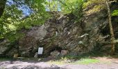 Tour Wandern Bièvre - Promenade de la Roche Mouselle - Petit-Fays - Photo 2