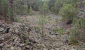 Tocht Stappen Garachico - tenerife dag 7 - Photo 15