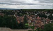 Randonnée Marche Ribeauvillé - boucle ribeauvillé-château St Ulrich-carrefour du cerisier noir-bergheim-ribeauvillé - Photo 10