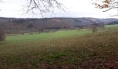 Trail Walking La Roche-en-Ardenne - Samree 131120 - Photo 5