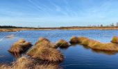 Trail On foot Eupen - 10806009-Ternell Hautes Fagnes - Photo 2