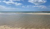 Percorso Corsa a piedi Fouesnant - Des dunes à la mer blanche - Photo 9