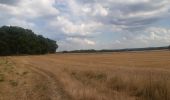 Randonnée Marche Flémalle - entre Sous les Roches et Aigremont  - Photo 4