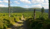 Trail On foot Vernířovice - [M] U Františkovy myslivny - Kosaře - Photo 4