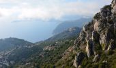 Trail Walking Èze - Èze Bord de Mer - Èze Village - Fort de Revère - Cime de la Forna - La Turbie - Monaco - Photo 6