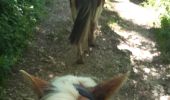 Trail Horseback riding Vaux-en-Bugey - rando Bugey j4 samedi - Photo 1
