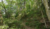 Randonnée Marche Chorges - Circuit de Serre Cocu.  - Photo 6