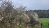 Tour Wandern Manhay - rando deux rys 12-04-2023 - Photo 4