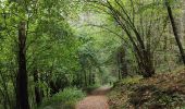 Tocht Stappen Verrières-en-Forez - Au dessus de Verriéres en Forez  - Photo 10