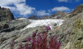 Tour Wandern Vallouise-Pelvoux - 2020-09-07 Marche Ailefroide Glaciers Blanc et Noir - Photo 3
