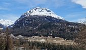 Percorso A piedi Pontresina - Muottas Muragl - Unterer Schafberg - Photo 9