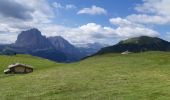 Trail Walking Santa Cristina Gherdëina - St. Christina in Gröden - Santa Cristina Valgardena - Seceda - Photo 13