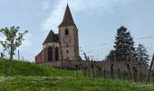 Tour Wandern Mittelweier - Mittelwihr - Nécropole de Sigolsheim - Riquewihr - Hunawihr - Zellenberg - Photo 15