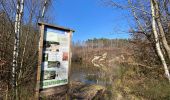 Trail On foot Anthisnes - AS03 Boucle de Tolumont - Photo 13