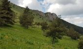 Trail Walking Valdrôme - STATION DE VALDRÔME - MONTAGNE DE L' AUP - Photo 12