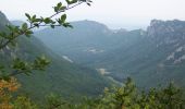 Tour Wandern Saou - Tour de la Forêt de Saoû - Photo 12