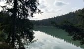 Trail Walking Orbey - Circuit des 4 lacs - Photo 8