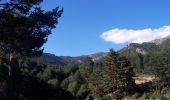 Trail On foot Navacerrada - Senda del Valle de la Barranca - Photo 1