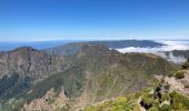 Tour Wandern São Roque do Faial - Pico Ruibo - Photo 13