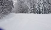 Trail Cross-country skiing Mijoux - puthod - Photo 2