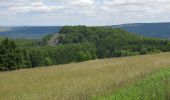 Tocht Te voet Ehrenberg - Zubringer Wüstensachsen - Photo 3