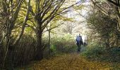 Tour Zu Fuß London Borough of Bexley - Shuttle Riverway - Photo 10