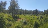 Trail Walking Eupen - WandHogeVenen 3 : Ternell: via de Hill naar Herzogenheuvel - Photo 2