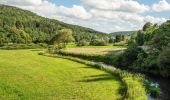 Randonnée A pied Heiligenstadt - Veilbronn-Streitberg - Photo 5