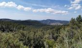 Tocht Stappen Évenos - Evenos - Vallon de la Capucine - Les Andrieux - Photo 8