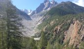 Excursión Senderismo Chamonix-Mont-Blanc - Buvette du Chapeau et Tête des Prapators 1844m - Photo 4