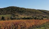 Tour Wandern Aubignas - Aubignas La Roche Noire 12km - Photo 2