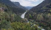 Tocht Stappen Massegros Causses Gorges - GR DE PAYS Causse Mejean et Gorges du Tarn  - Photo 5