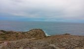 Tour Wandern Port-Vendres - anse des paulliles - cap bear via les vignes retour par le chemin côtier - Photo 11