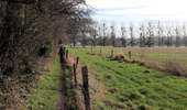Trail Walking Seneffe - Feluy depuis Arquennes - Photo 1
