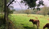 Trail Walking Messancy - La Charmouthienne_boucle_Sélange_14km_20190929 - Photo 7