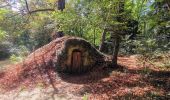 Tour Wandern Sceaux - Boucle autour du parc de Sceaux - Photo 9