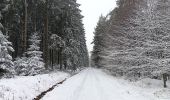 Percorso Marcia Spa - berinzenne entre fagne et bois dans le brouillard - Photo 5