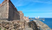 Trail Walking Argelès-sur-Mer - racou - collioure - racou / en boucle - Photo 18