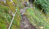 Tocht  Le Valtin - Sentier des roches frankenthal col de la schlucht - Photo 7