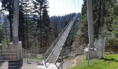 Excursión Senderismo Bad Wildbad - Baumwipfelpfad et Wildline à Bad Wildbad dans le Schwarzwald - Photo 10