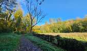 Trail Walking Honnelles - La promenade du Caillou qui Bique - Photo 7