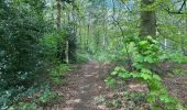 Trail Walking Breda - Breda Mastbosch 24,8 km - Photo 6