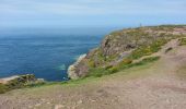 Tour Wandern Plévenon - Cap Fréhel - 2017 06 22 - Photo 12