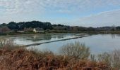 Tocht Stappen La Trinité-sur-Mer - PR_56_La-Trinite-Sur-Mer_CA_03_Circuit4b_Sentier-Douanier-Et-Marais-Salants_20221217 - Photo 13