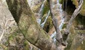 Tour Wandern La Palud-sur-Verdon - La colle de l’olivier - réserve de St Maurin - Photo 5